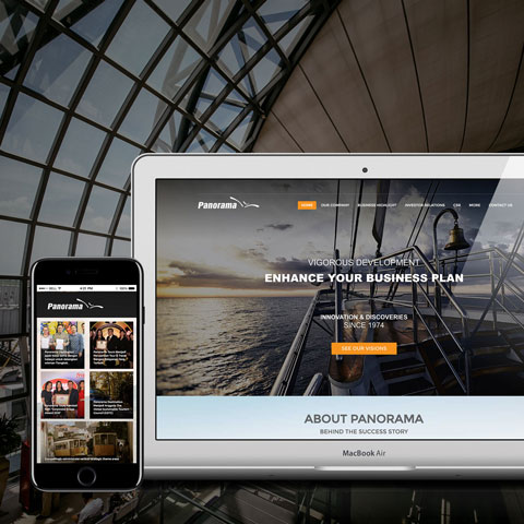 SEO Agency Panorama Website